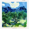 Van Gogh-Olive Trees Poster 50x70 New Design 2026 Van Gogh-Olive Trees Poster