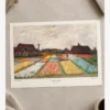 Van Gogh-Bulb Fields Poster baskı Van Gogh - Bulb Fields Poster