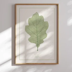 Alois Auer-Oak Leaf Poster