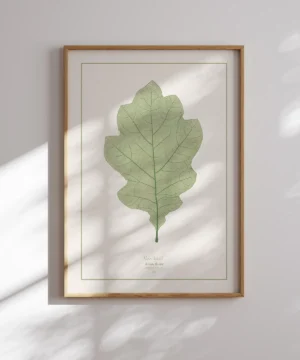 Alois Auer-Oak Leaf Poster