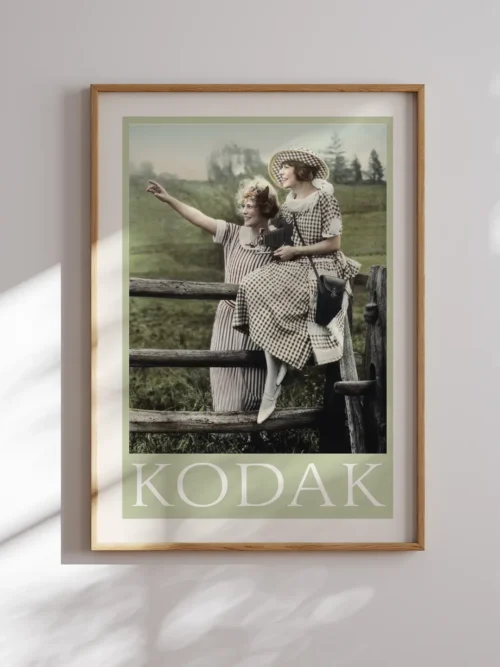 Viyana Tarihi Zarif Sokak Poster