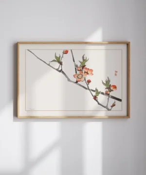 Kono Bairei-Peach Poster Kono Bairei-Peach Poster